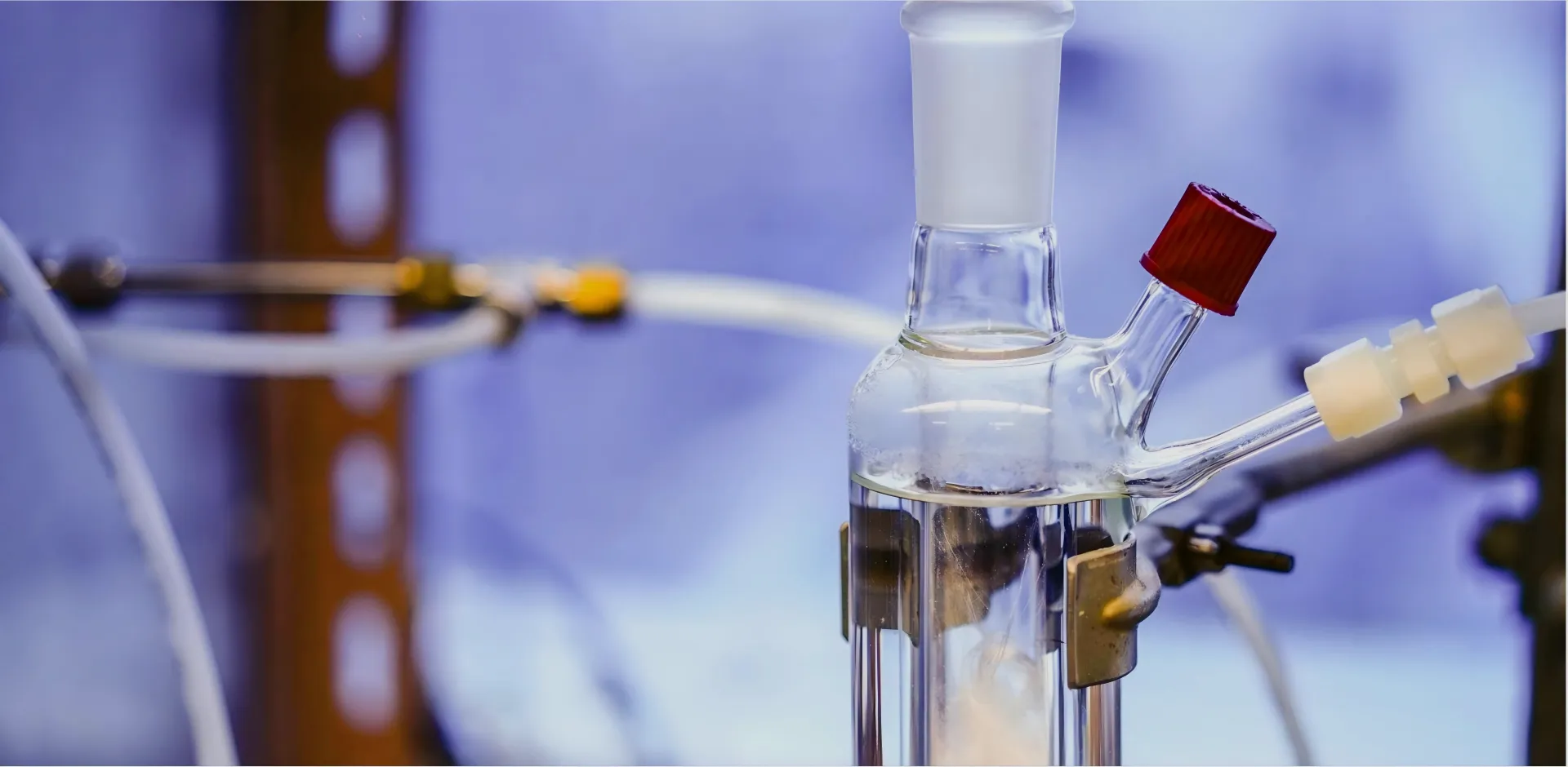 Catálogo de compuestos aromáticos heterocíclicos nitrogenados