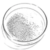 Derivados de glicolurilo